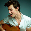 blog logo of shawn icons.