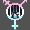 BiSexual/Pansexual/GenderFluid/sHeMale Forum