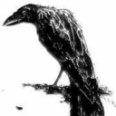 blog logo of Quote the Raven