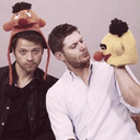 Everything is Misha