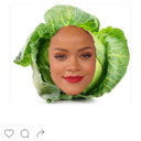 blog logo of didn't they tell you that i was a cabbage.