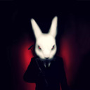 Mr.Rabbit