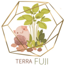 Terra フジ