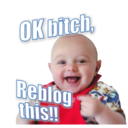 blog logo of 『OK bitch, Reblog this!!』