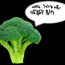 blog logo of BroccoliRambles