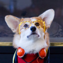 blog logo of Drewbert the Corgi