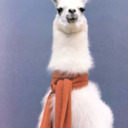 blog logo of The Llama In A Scarf