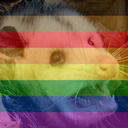 blog logo of tiny, gay, & here to stay