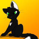 blog logo of Magic The Cat