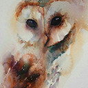 blog logo of Lil' Owl