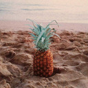 blog logo of pineapplesblog