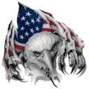 blog logo of The American Patriot Page