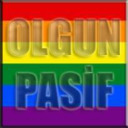 OLGUN PASIF GAY