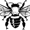 blog logo of Just a Bumble Bee